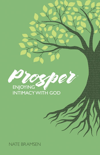 Image of PROSPER : Enjoying Intimacy with God