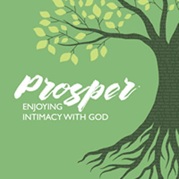 PROSPER : Enjoying Intimacy with God - feature navigation
